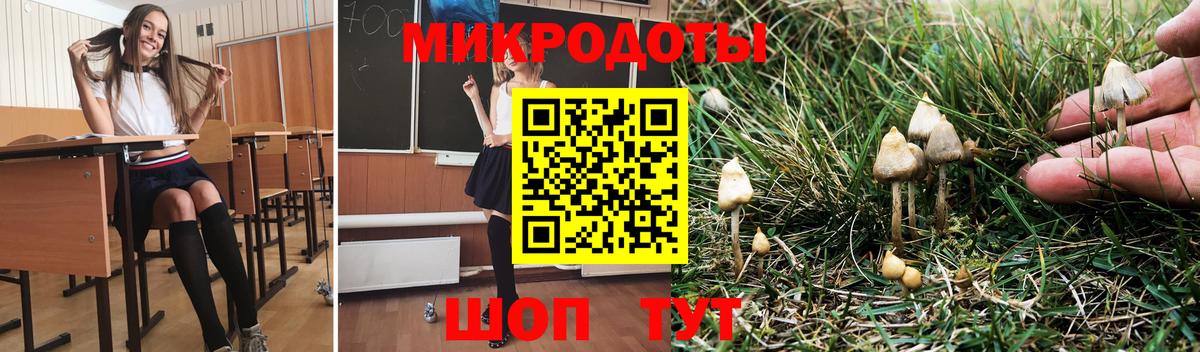 Псилоцибиновые грибы Psilocybine cubensis  Вход с VPN  Губкинский 